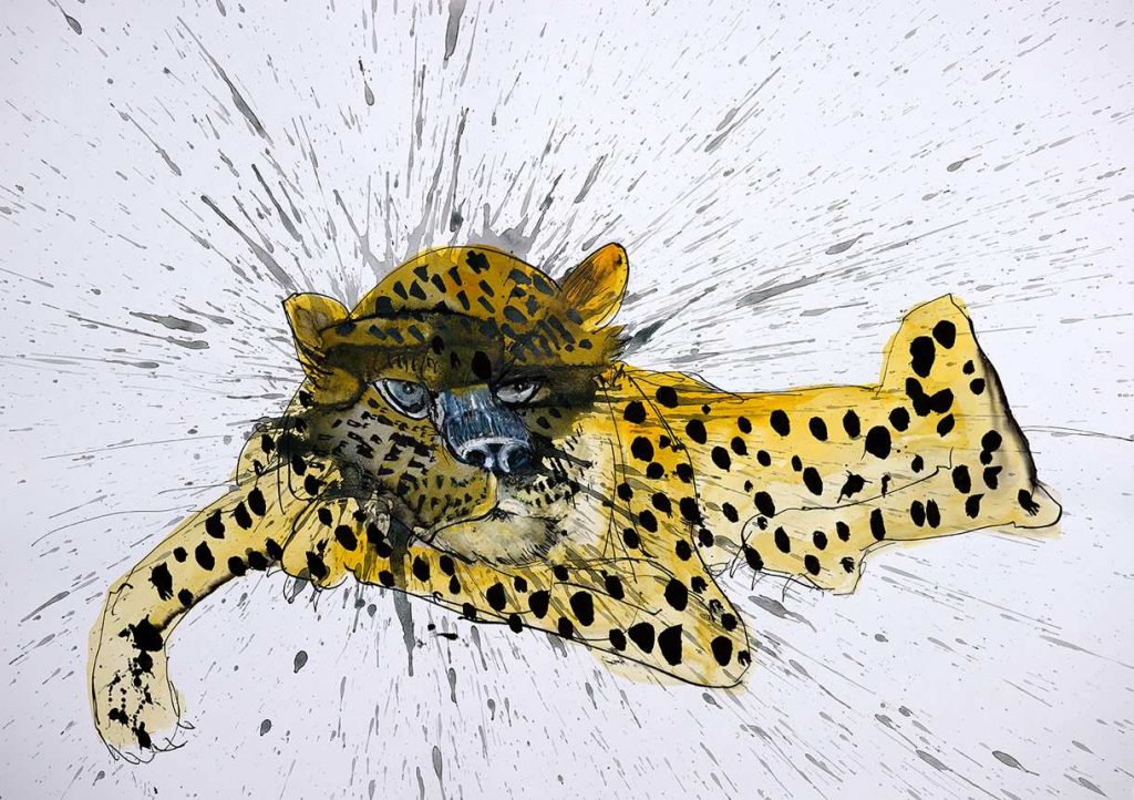 ralph steadman vault by vans illustration